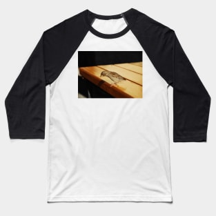 House Sparrow Baseball T-Shirt